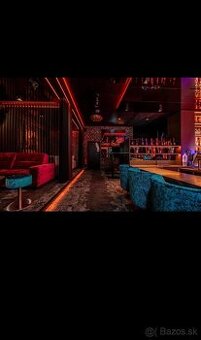 Nočný klub vo WIEDNI príjme dievčatá/dámy