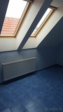 Prenájom obchodných a kancelárskych priestorov - 1