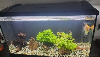 Akvarium
