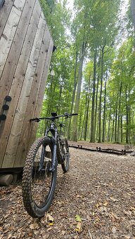 Trek Rail 7