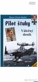 Pilot štuky
