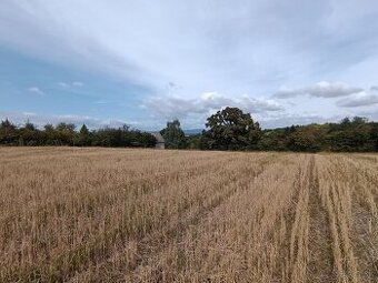Predaj pozemku , časť Staré Levice , 4519 m2 , Levice