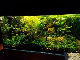 Predám akvárium 700 l (180×60×68 cm, sklo 12 mm)