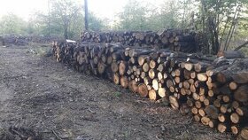 Tvrde palivove drevo suche, 5m ukladane s dovozom 260euro - 1