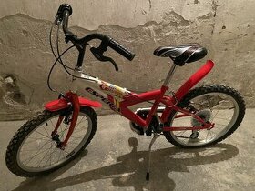 detský a dospelý bicykel