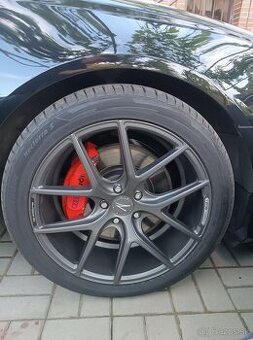 Disky R19 Performance Z Carbonado grey