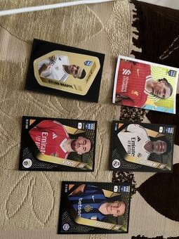 Nalepky Fifa 365