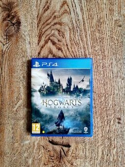 Hogwarts Legacy Ps4