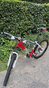 Damsky/detsky bicykel Dema Raveo Lady