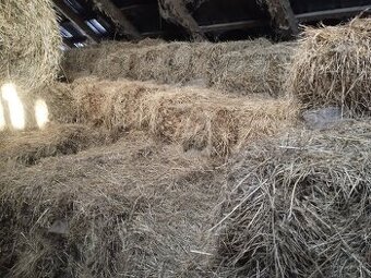 Predám seno