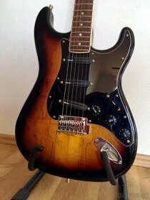 Fender Stratocaster Billy Corgan custom 2014