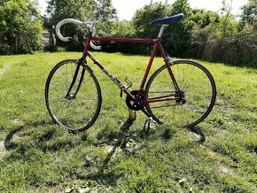 Bicykel Granus