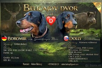 Slovenský kopov