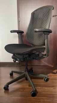 Ergonomická kancelárska stolička Herman Miller Celle