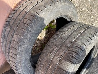 205/55 r16