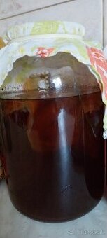 Kombucha