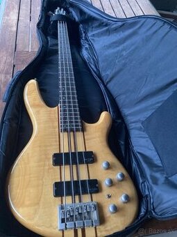 Basová gitara - 1