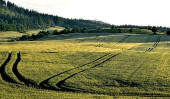 Kecerovské Pekľany – 15.000 m2 ORNÁ PÔDA a LESY