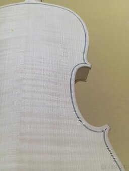 Viola