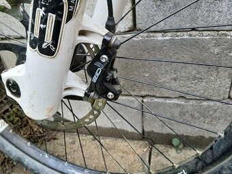 Trek dwnhil