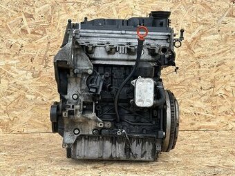 Holomotor 1.6TDI 77kw CAYC