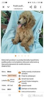 Kupim toy alebo trpazlicieho