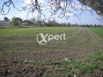 Hľadáme Poľnohospodárske a lesné pozemky cele Slovensko