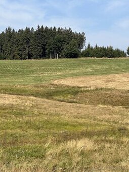 Pozemok Lom nad Rimavicou 9-Árov pri Lese a Ceste s Výhľadom