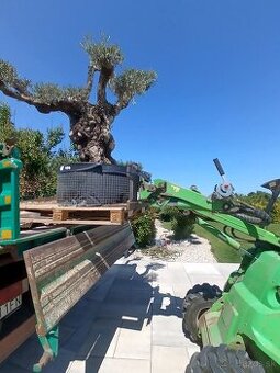 Firma Lux Garden Vám ponúka tieto služby