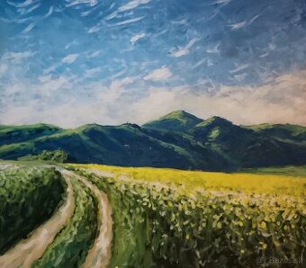 Akrylové obrazy 80x60 2