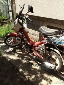 Korado