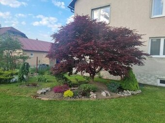 Predaj viacgeneračného domu s veľkým pozemkom v centre obce 