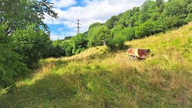 NOVÁ CENA Na predaj je záhrada o výmere 3398 m2 v Kremnici - 1