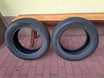 Zimné pneumatiky NEXEN 195/60R15