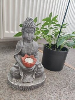 Budha soška