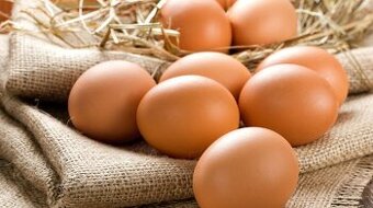 Predaj vajec veľkosti L / XL (s dovozom v BB a okolí)