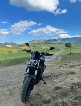 Benelli 502C Cruiser, motorka, motocykel