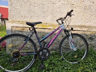 Bicykel