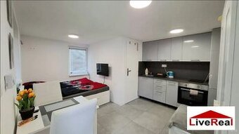 1 izb byt,Zlaté piesky, s pozemkom 250m2,voda, 50m od jazera - 1