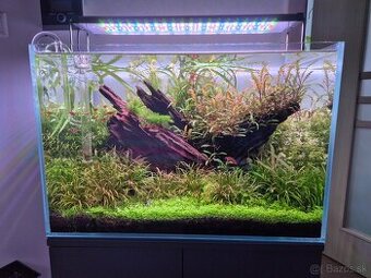 Twinstar IV 600S + WiFi ovladac zdarma