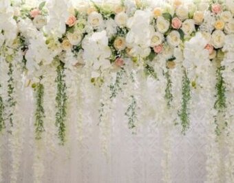 Predám vinylové fotopozadia 2,1m x 1,5m