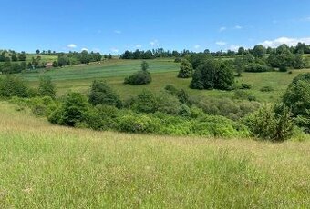 DETVA, POZEMOK ČASŤ SKLIAROVO, 8548 M2