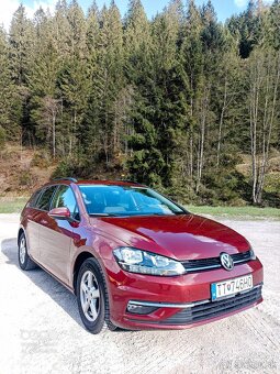 VW Variant 2019