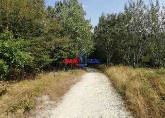 Rekreačný pozemok nad Račou neďaleko Stupavskej ulice - 2313