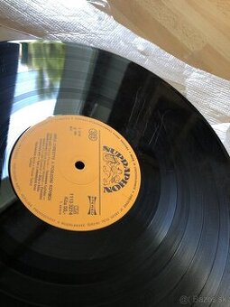 Darujem staré poškrabané LP platne