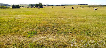 BOSEN | Na predaj pozemok v obci Senohrad 10.534 m2