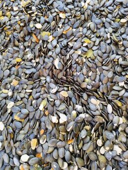 Predám bezšupkové tekvicové jadierka