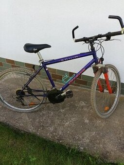 Bicykel pánsky