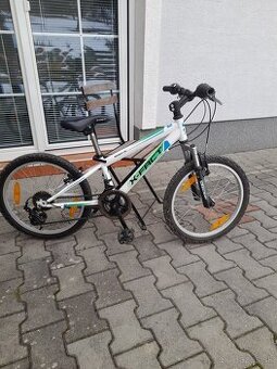 Detsky bicykel X-FACT 20 -SCOTT-24