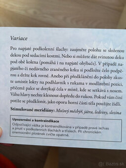 terapeutická jóga